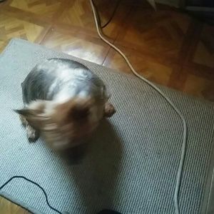 Meet your Posher, Lashelle