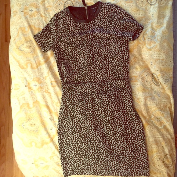 Club Monaco Animal Print Top and Skirt