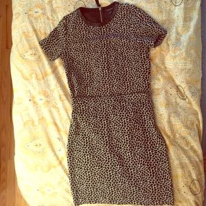 Club Monaco Animal Print Top and Skirt