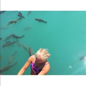 Meet your Posher, Mollie