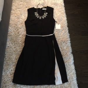 Calvin Klein LBD with White Accents