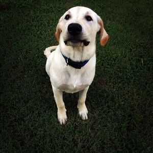 Meet your Posher, Mia