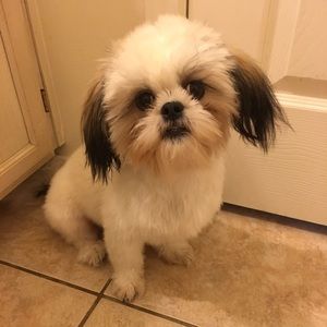 Meet your Posher, Leslie