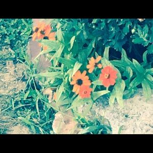 Meet your Posher, Paige