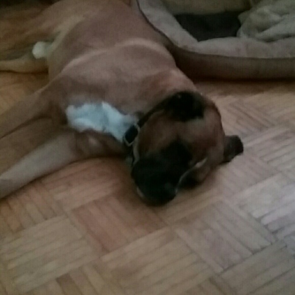 Meet your Posher, Elysha