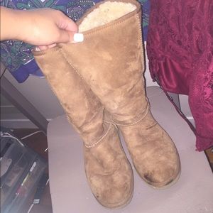 Chestnut uggs