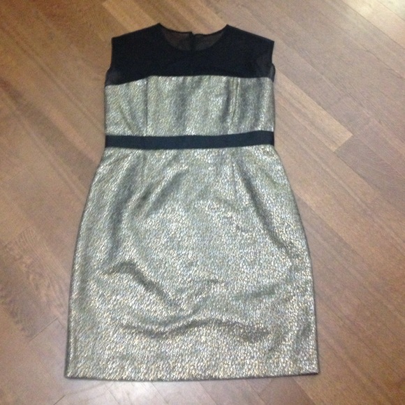 Sheer & Metallic Dress