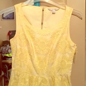 Yellow Flowered Lauren Conrad Dress