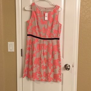 LOFT dress!
