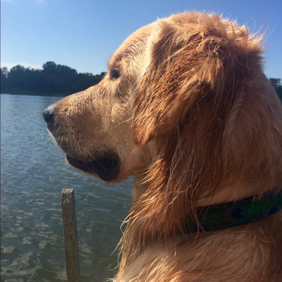 Meet your Posher, Monika - Picture 1 of 1