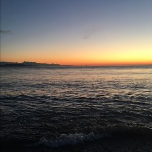 Meet your Posher, Ellie