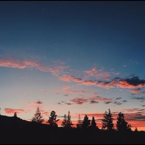 Meet your Posher, Skye