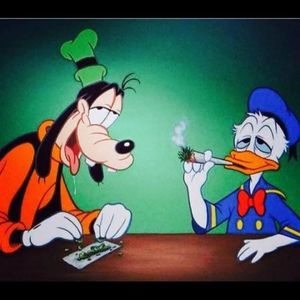 Meet your Posher, Alejandro