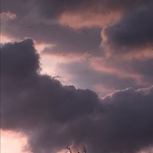 Meet your Posher, Katey