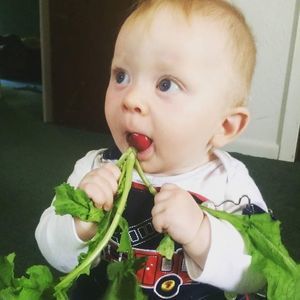 Meet your Posher, Kristi