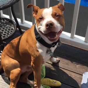 Meet your Posher, Christina