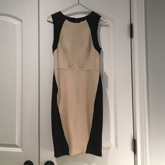 Rachel Roy Dress stretch dress