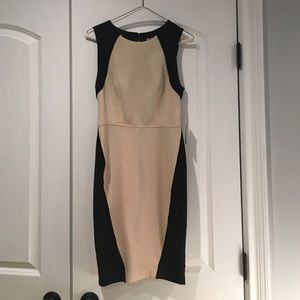 Rachel Roy Dress stretch dress