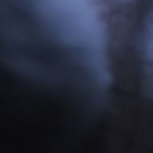 Meet your Posher, Martha