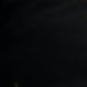 Meet your Posher, Jasmin