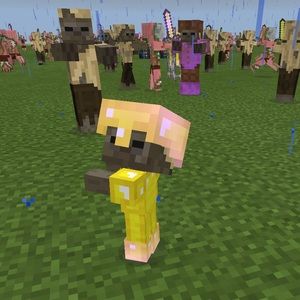 Meet your Posher, Qi