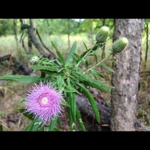 Meet your Posher, Valerie