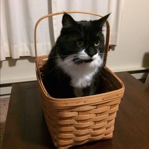 Meet your Posher, Mary