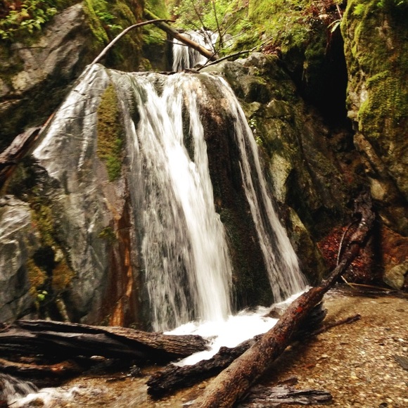 Meet your Posher, Guadalupe - Picture 4 of 4