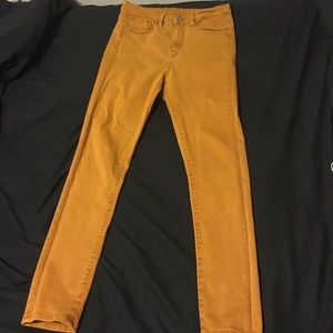 BDG High Rise Skinny Jeans in Burnt Orange