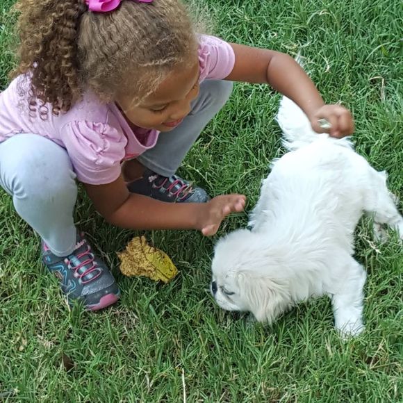 Meet your Posher, Joyce - Picture 1 of 1