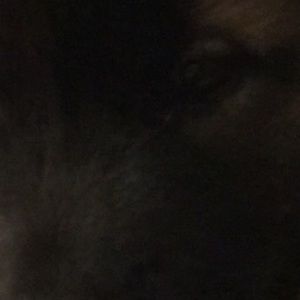 Meet your Posher, Taryn