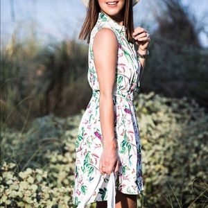 Ann Taylor Birds of Paradise Shirtdress