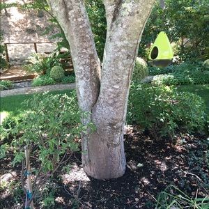 Meet your Posher, Julianna