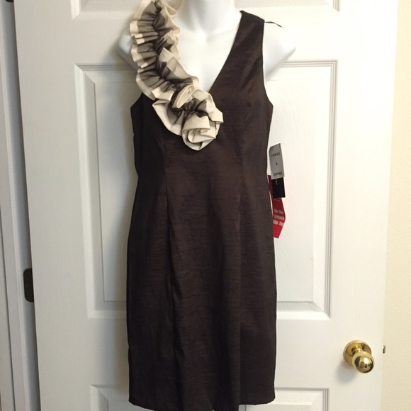 NWT RUFFLE SLEEVE DRESS