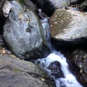 Meet your Posher, Kenzi