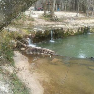 Meet your Posher, Virginia