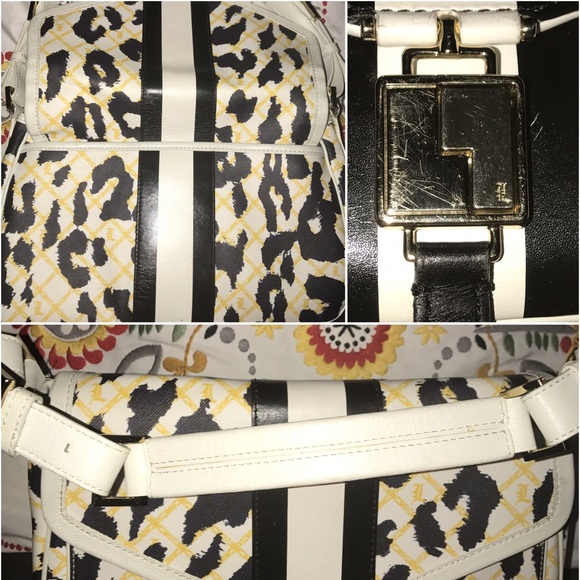 LAMB - Picture 6 of 8