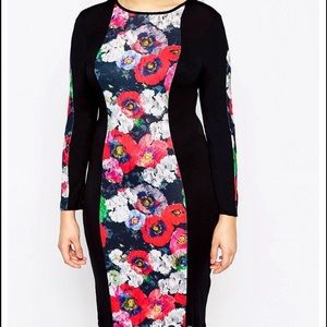 Body Con poppy print dress
