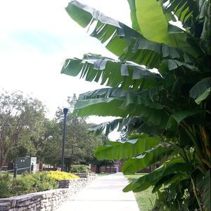 Meet your Posher, Seong eun