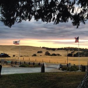 Meet your Posher, Gabby