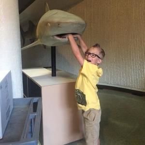 Meet your Posher, Brittany