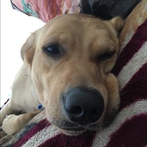 Meet your Posher, Ivan