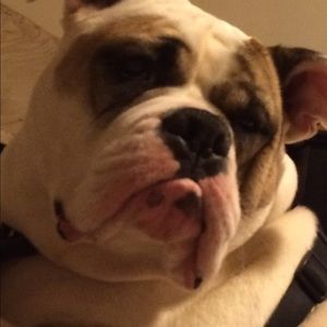 Meet your Posher, Nancy