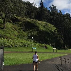 Meet your Posher, Jaime michelle