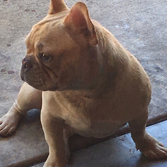 Meet your Posher, Chris - Picture 1 of 1