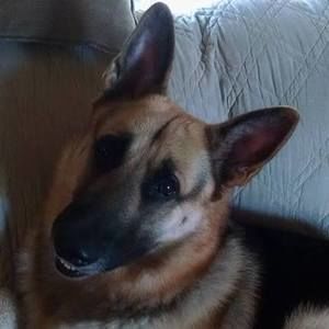 Meet your Posher, Loretta