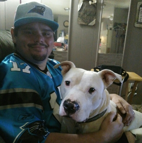 Meet your Posher, Amy - Picture 3 of 4