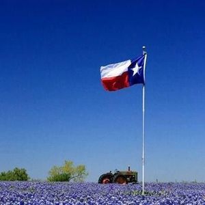 Meet your Posher, Wanda