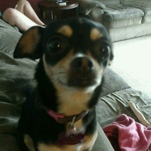 Meet your Posher, Angi