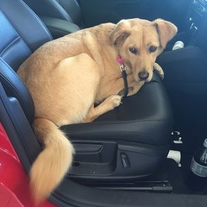 Meet your Posher, Danielle